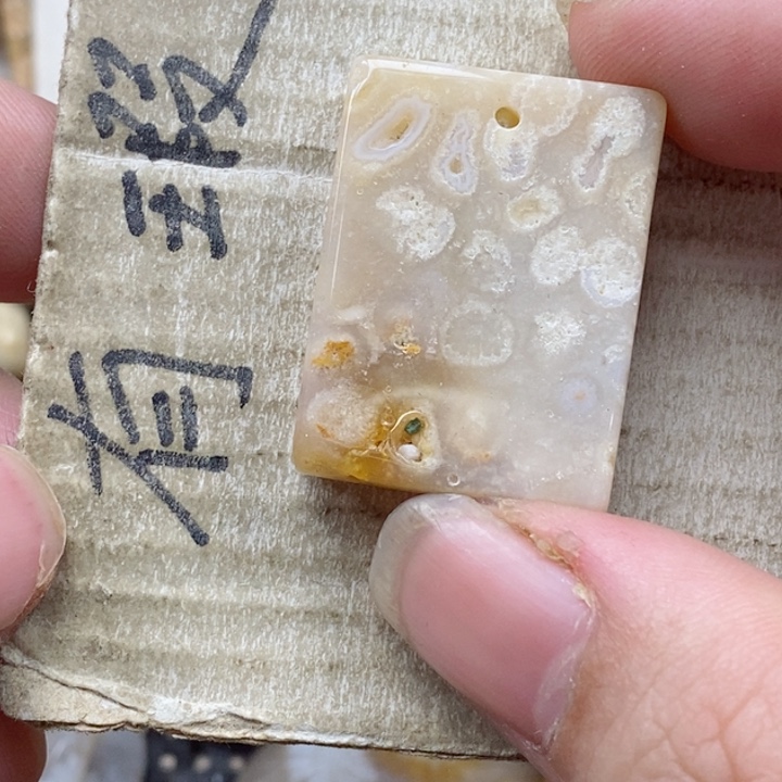 颈饰未镶嵌硅化珊瑚（珊瑚玉）t**n小