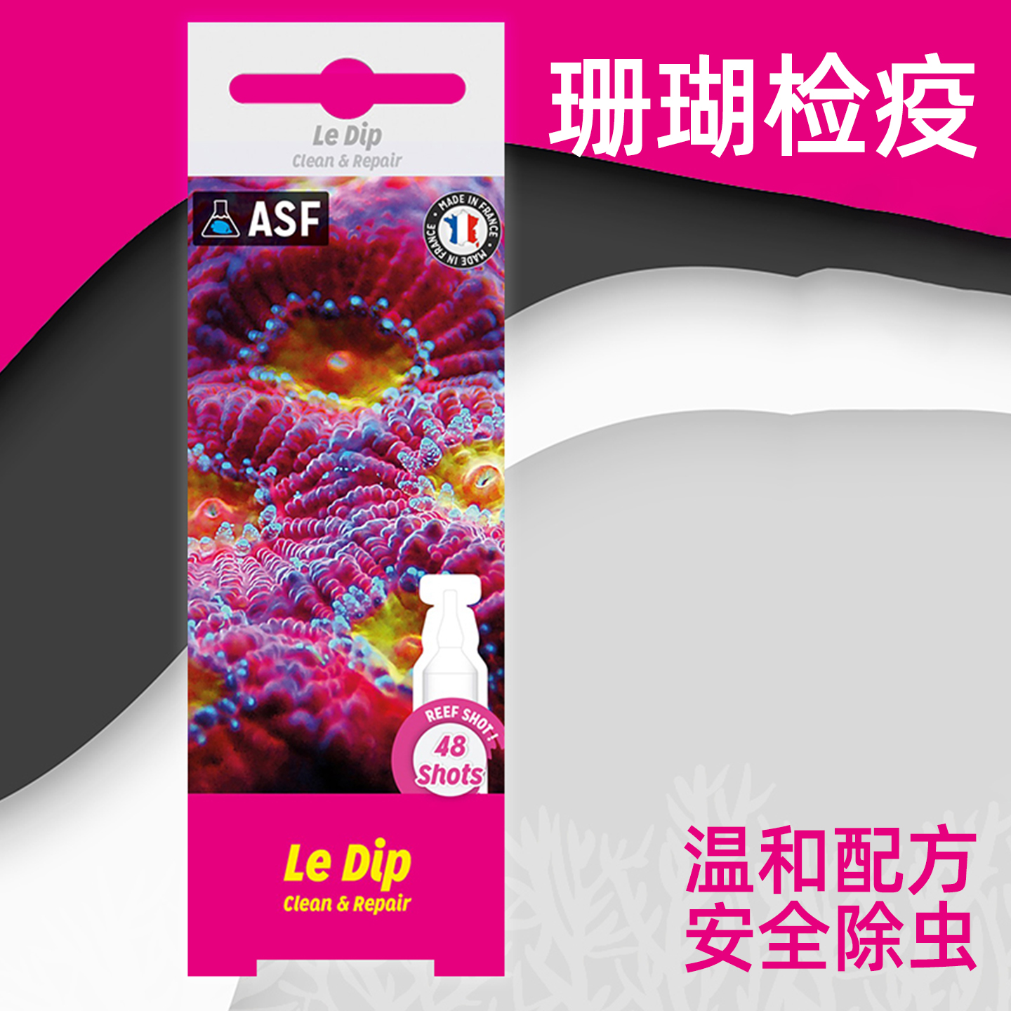 法红珊瑚检疫水SPS检疫水LPS除扁虫红虫海蜘蛛扁虫水安全保护珊瑚