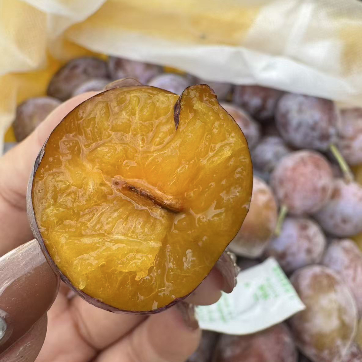 西梅 嘎嘎甜 特别好吃 推荐