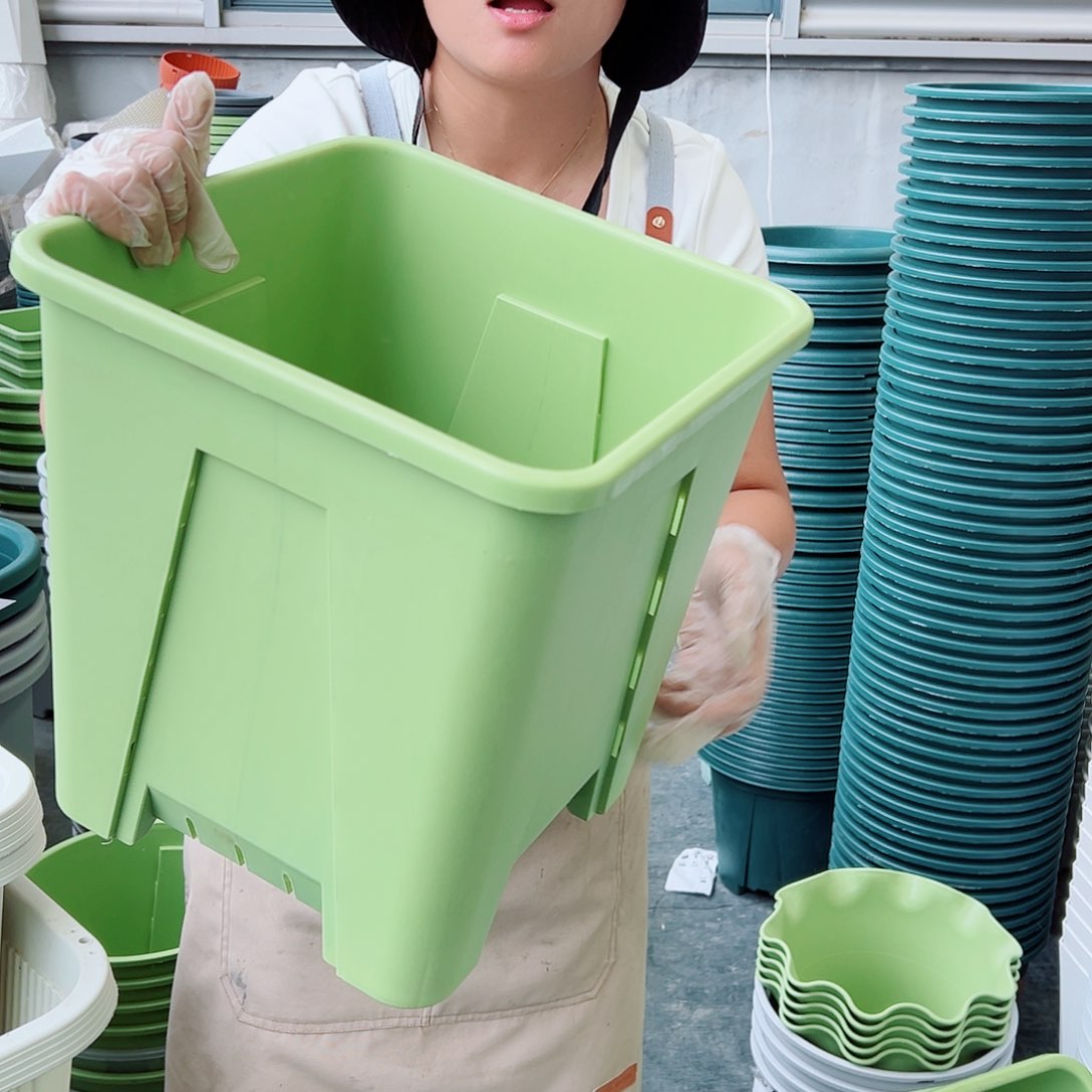 方盆F30#果绿色3个无托
