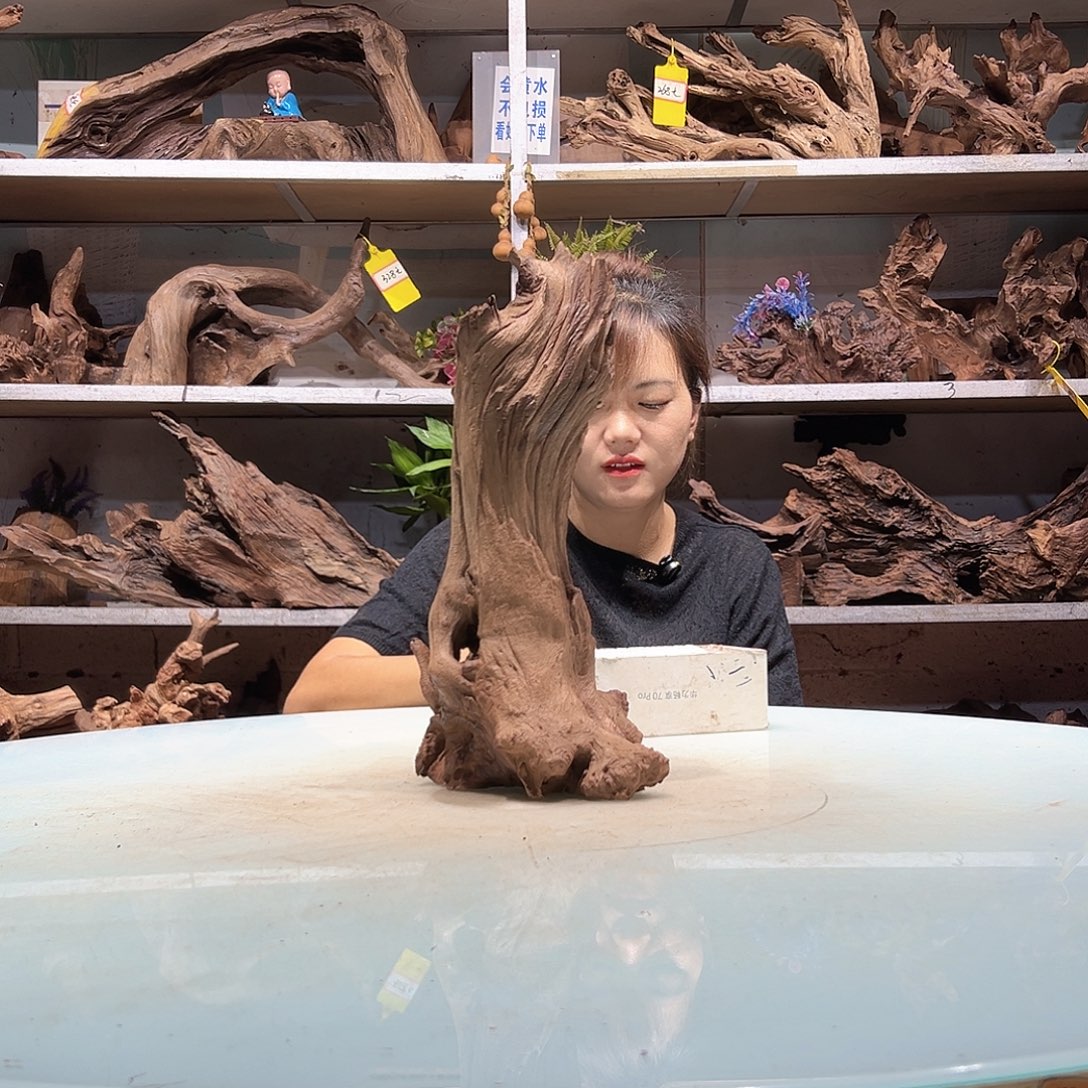 逆***绿紫柚沉木不包损不包秒沉介意慎拍紫砂6520