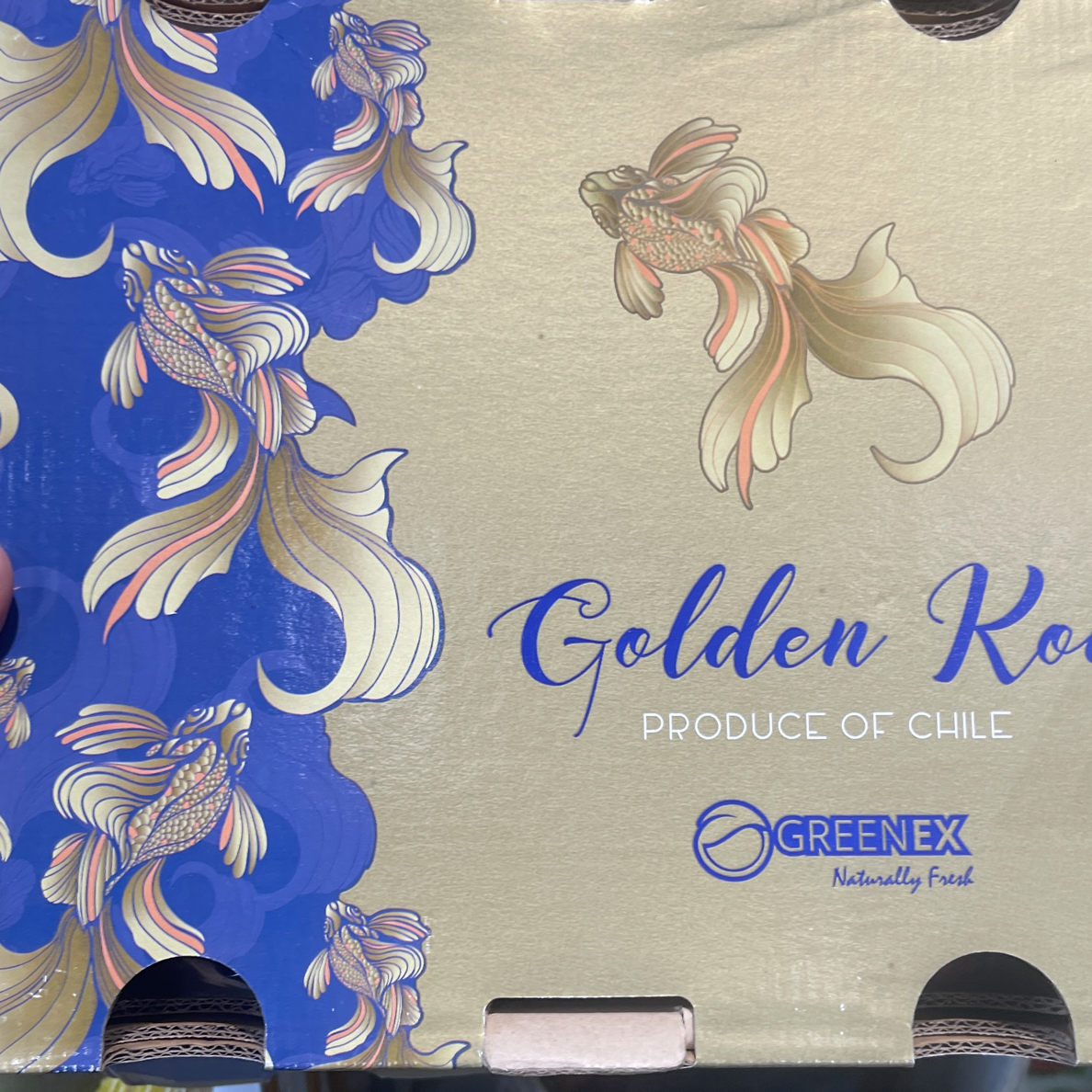 桑提娜车厘子5斤装