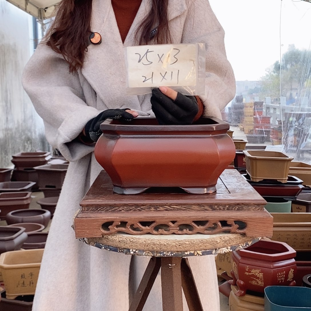 紫砂花盆紫砂花盆