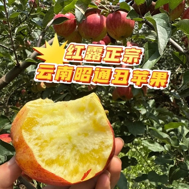 正宗云南昭通冰糖心丑苹果新鲜现摘脆甜多汁水果