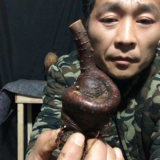 我们都会越来越好越来越优秀越来越好看了吧越来越喜欢你们
