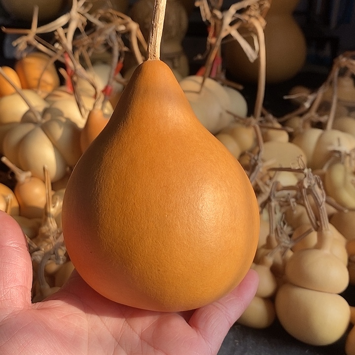 m**o葫芦的颜色很好看