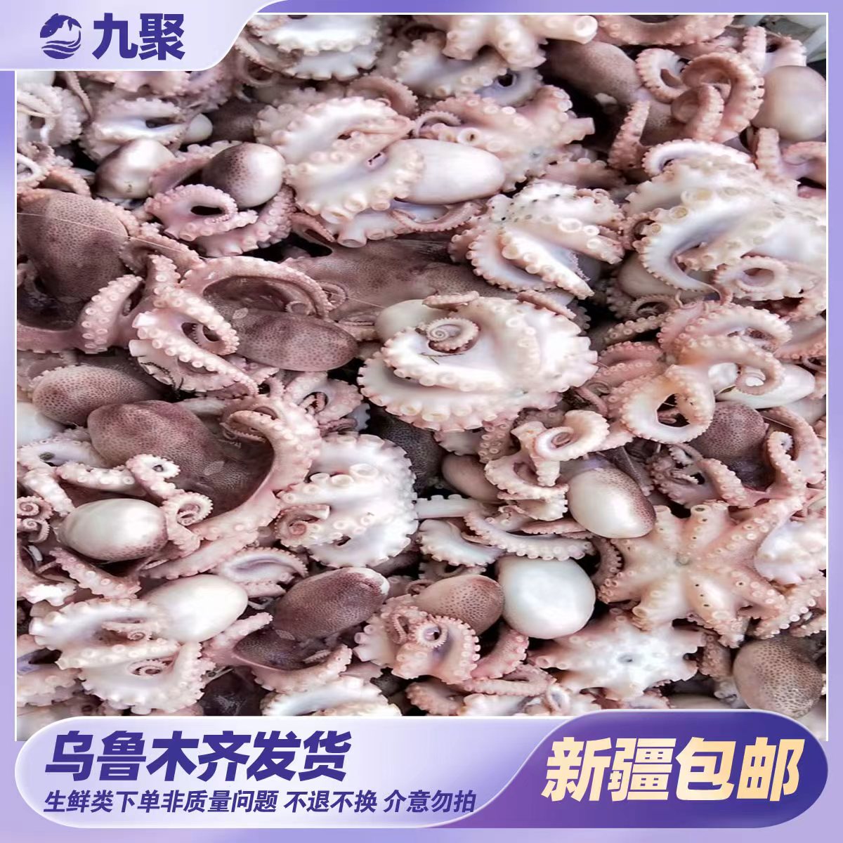 12头大小 八爪鱼    新疆包邮  3包