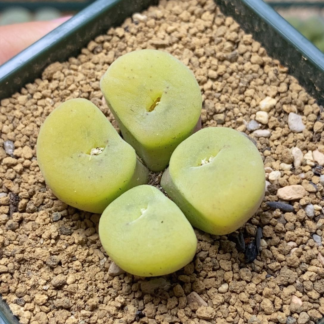 空卡空卡空卡空卡