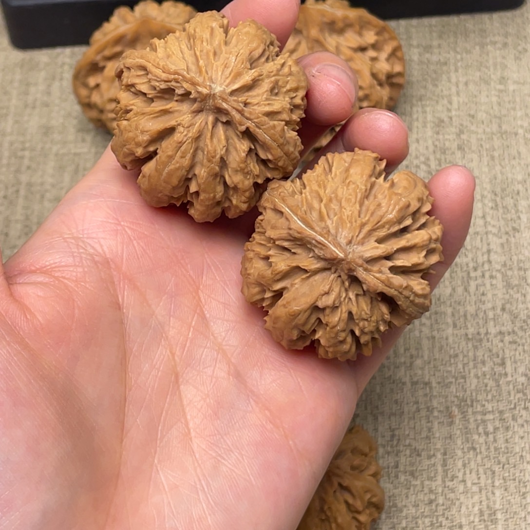 明***文玩核桃把件秦岭核桃45号