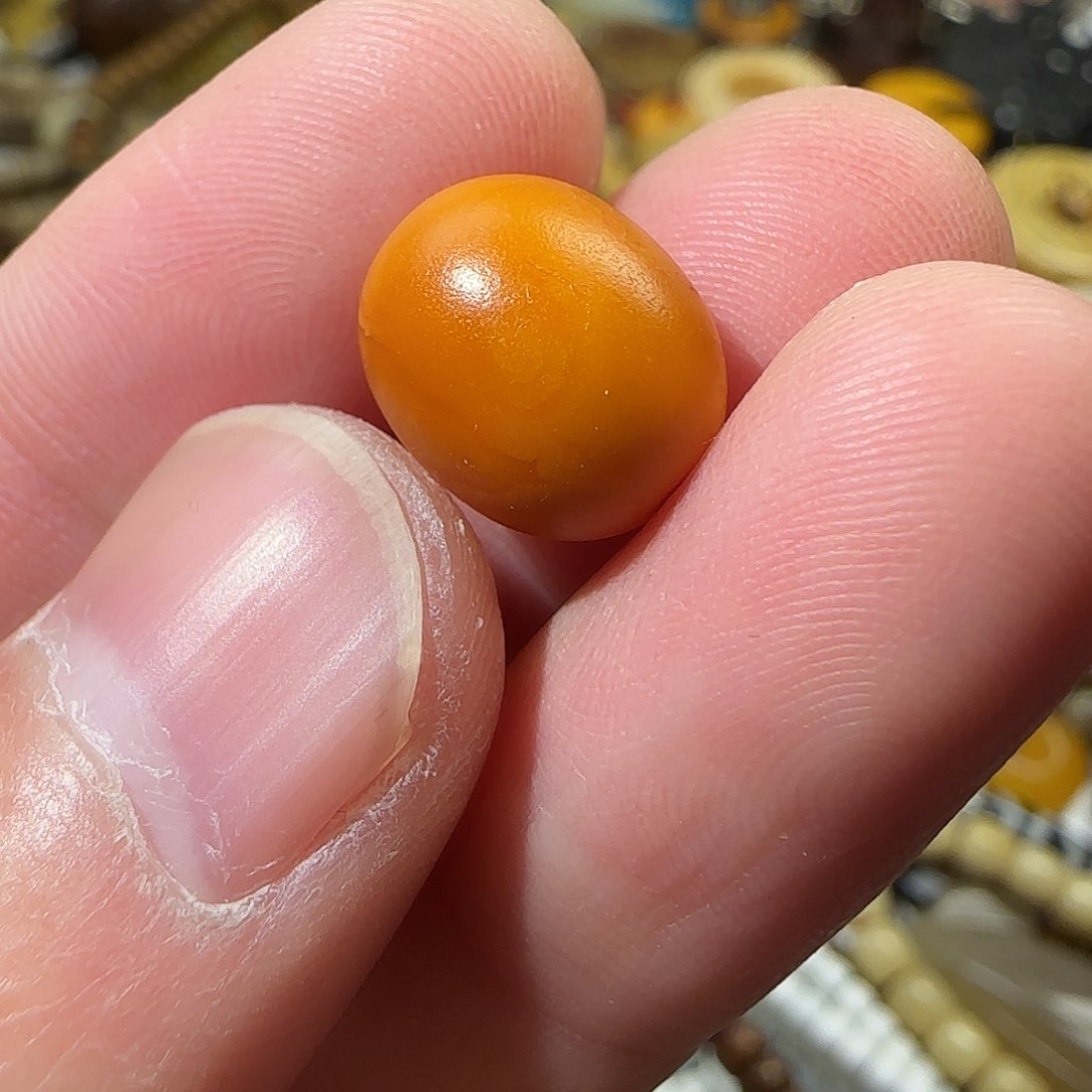 柏香籽/百香籽吊坠