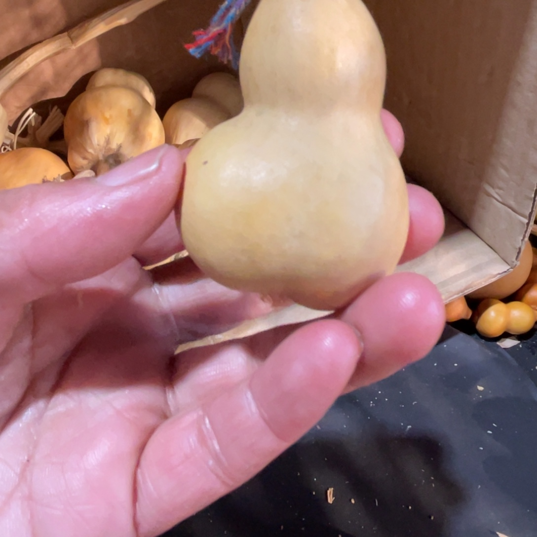 煤***球葫芦哈哈哈哈哈哈哈哈