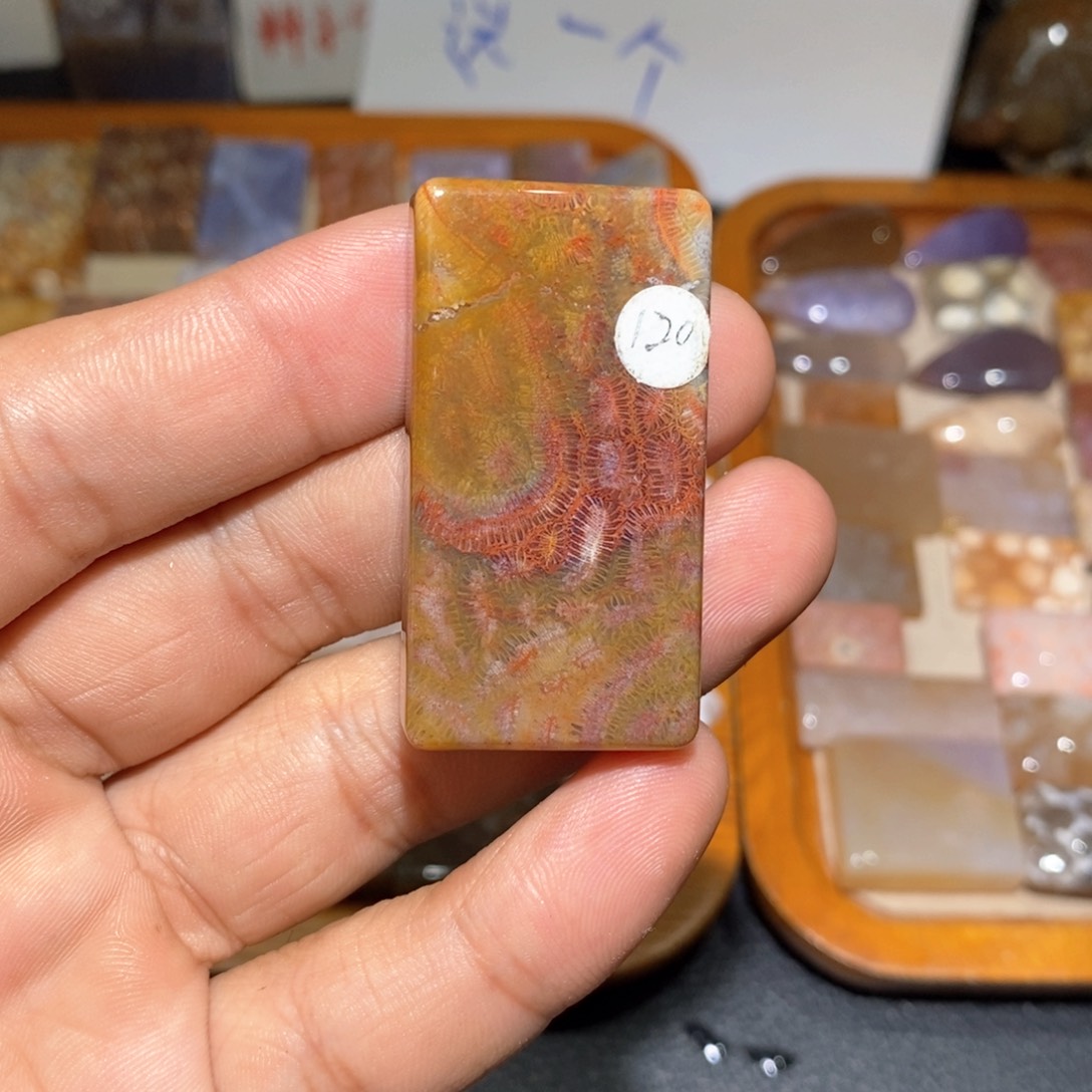【闪购商品】硅化玉颈饰未镶嵌
