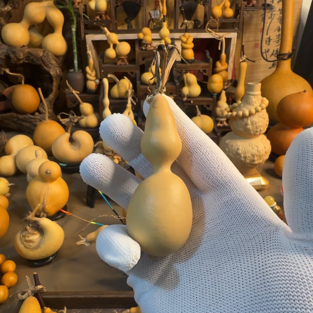 七***鱼半透60CM（含）-120CM（不含）葫芦葫芦葫芦