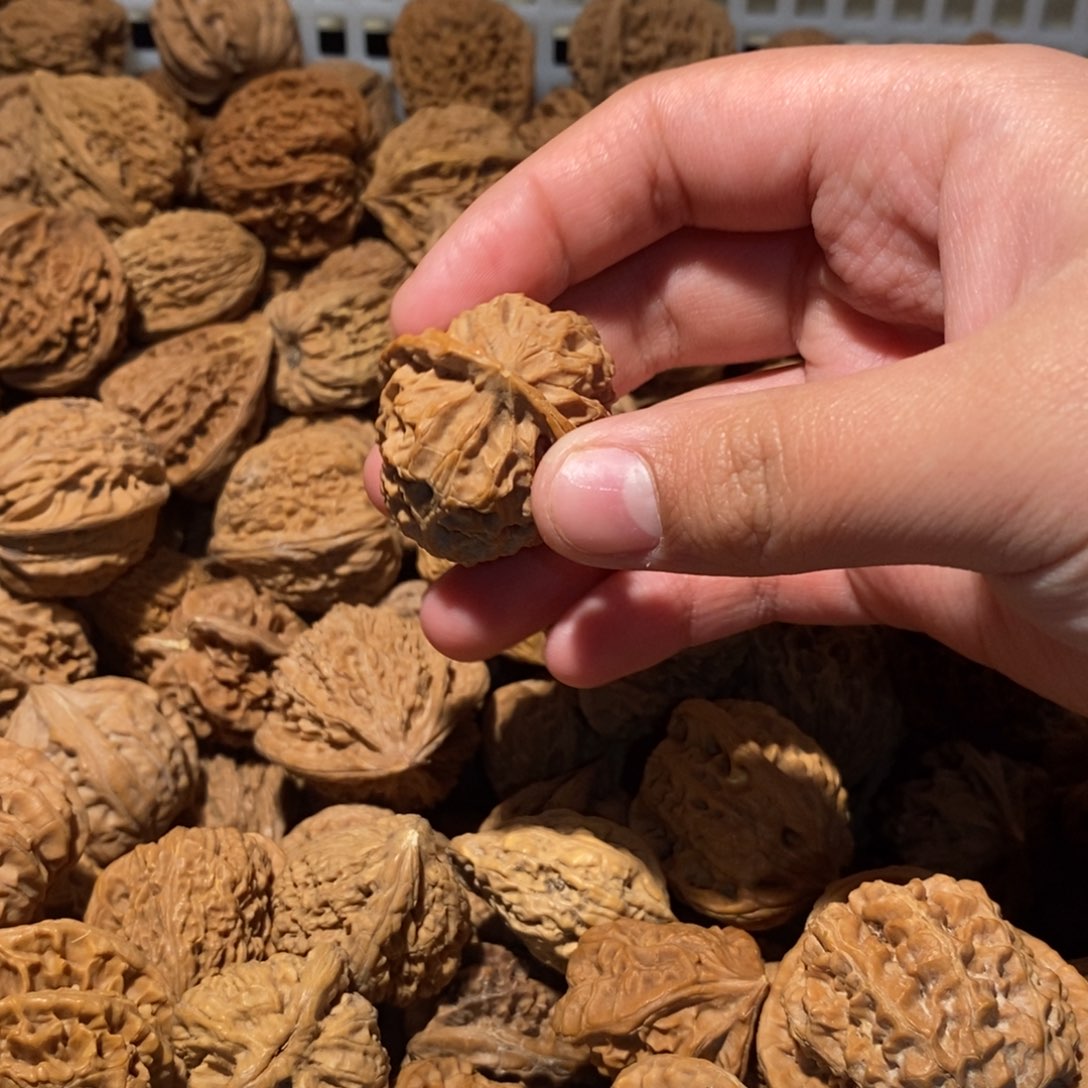 教***瘦文玩核桃吊坠文玩