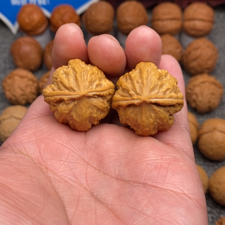 文玩核桃把件玉龙粗筋