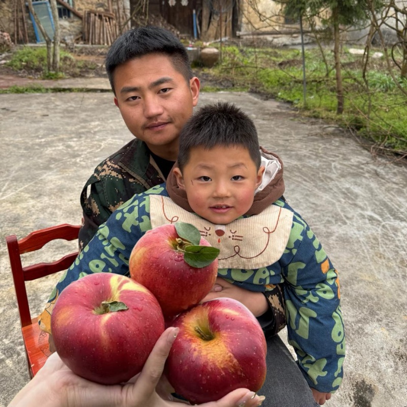 【罗黑黑家的苹果】正宗云南昭通冰糖心丑苹果新鲜水果红富士5斤装