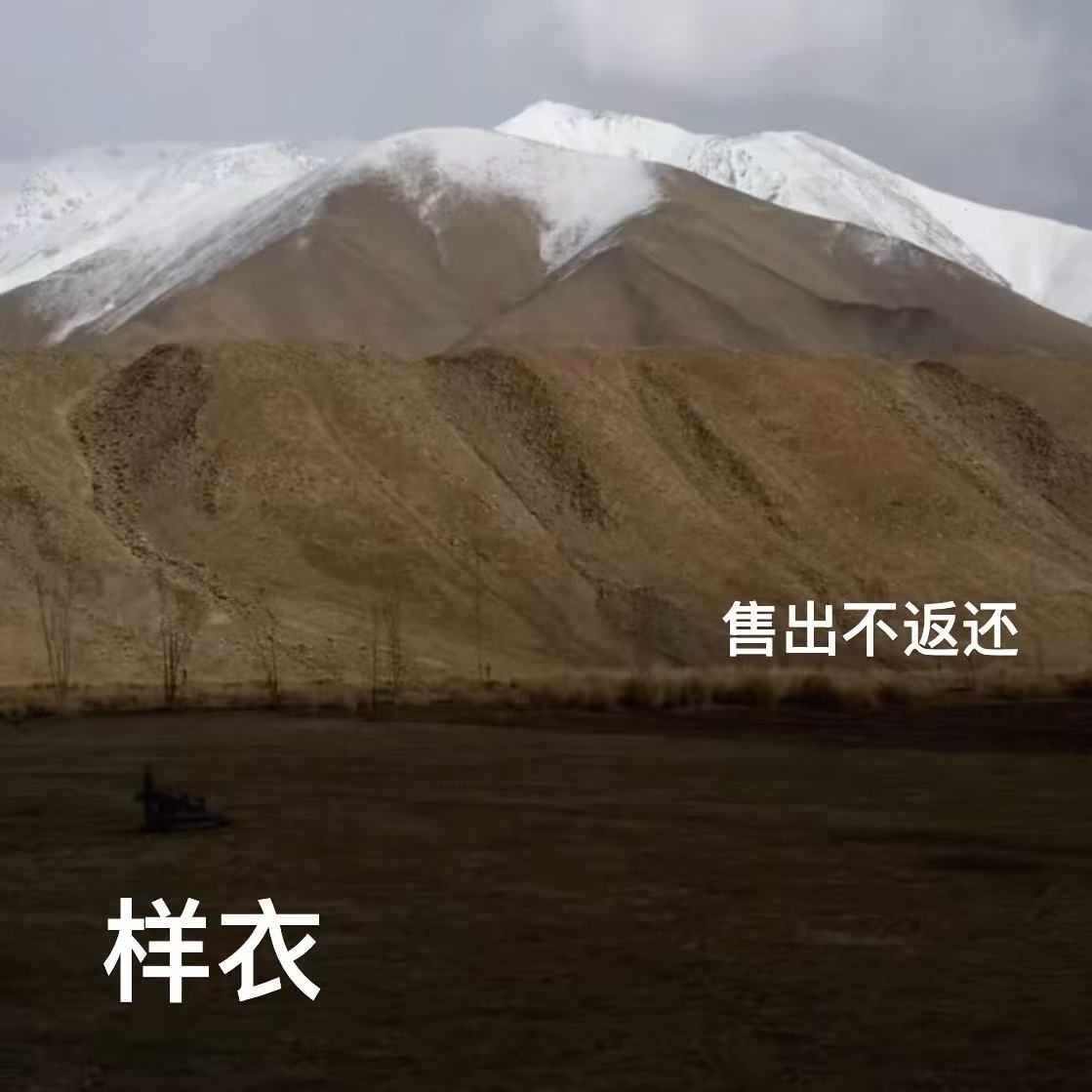 样衣 不建议返回 时尚休闲百搭通勤