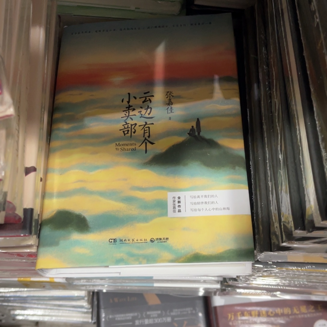 云边有个小卖部精装一个