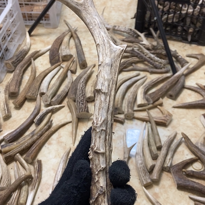 花***谷大叶紫檀（黑酸枝木类）