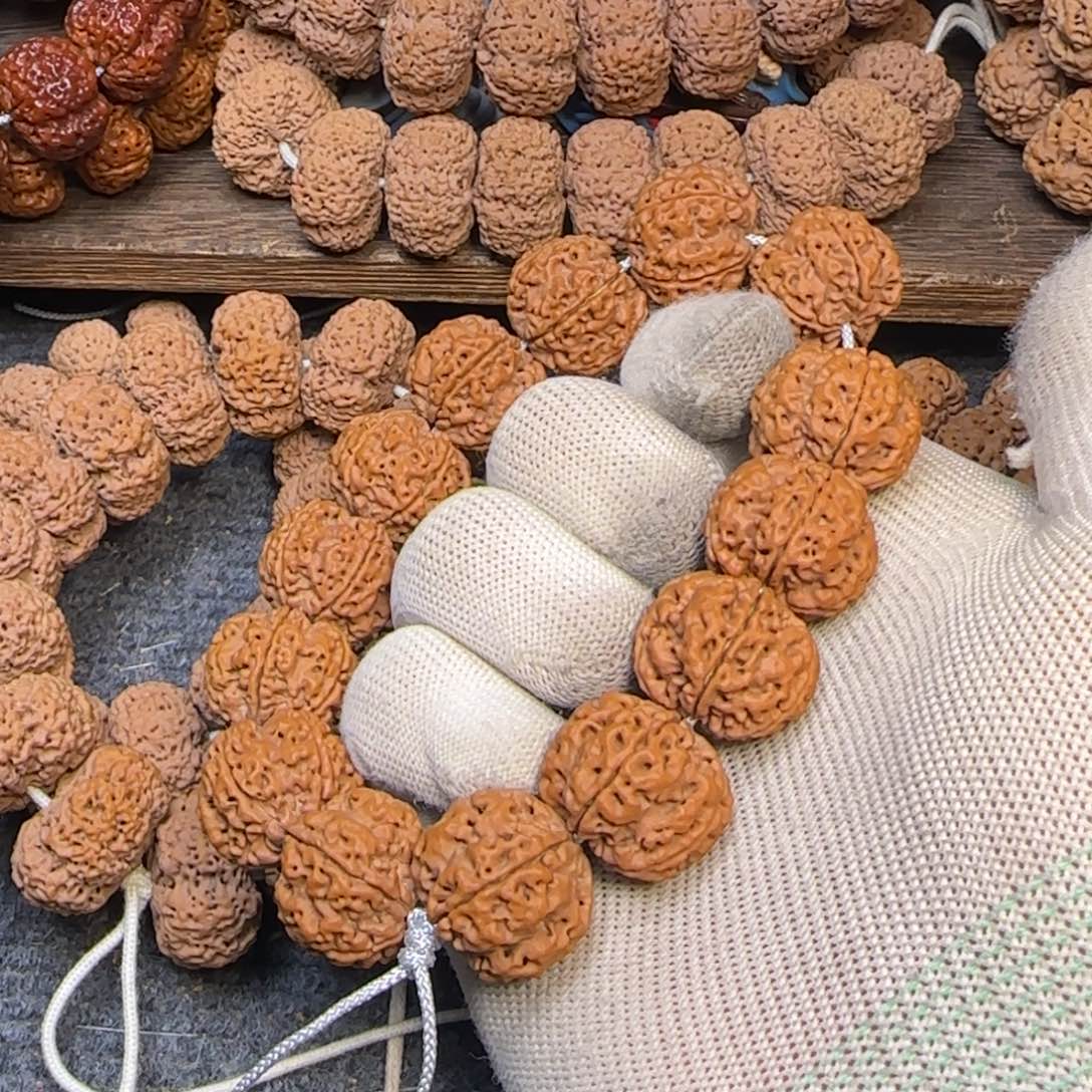 菩提金刚菩提22梅花双龙