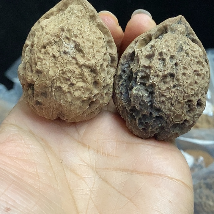 把件文玩核桃云南铁核桃基地79