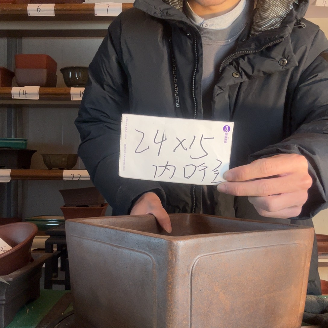  出大太阳和奋斗的规范