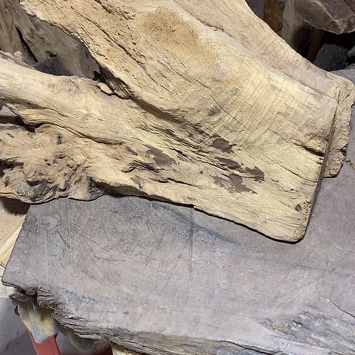 乌木类国*金丝楠木小叶