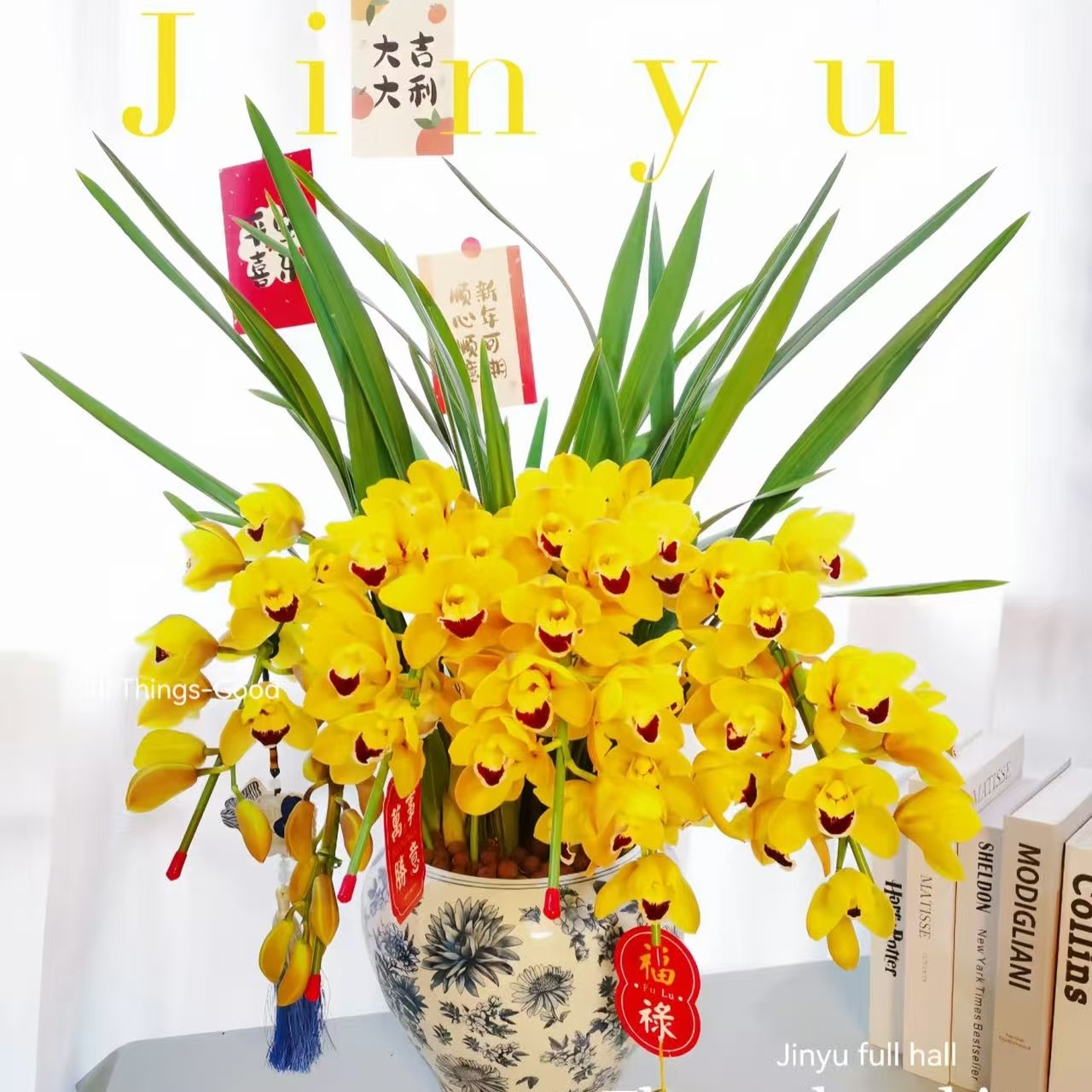 大花金玉满堂5花剑盆栽室内好养带香味花卉基地直发