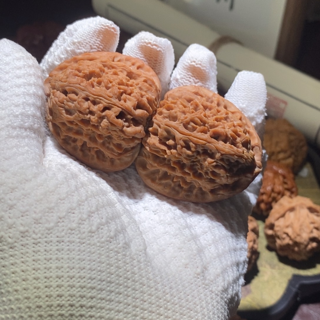 D***o43.8全品高炮南疆毕业