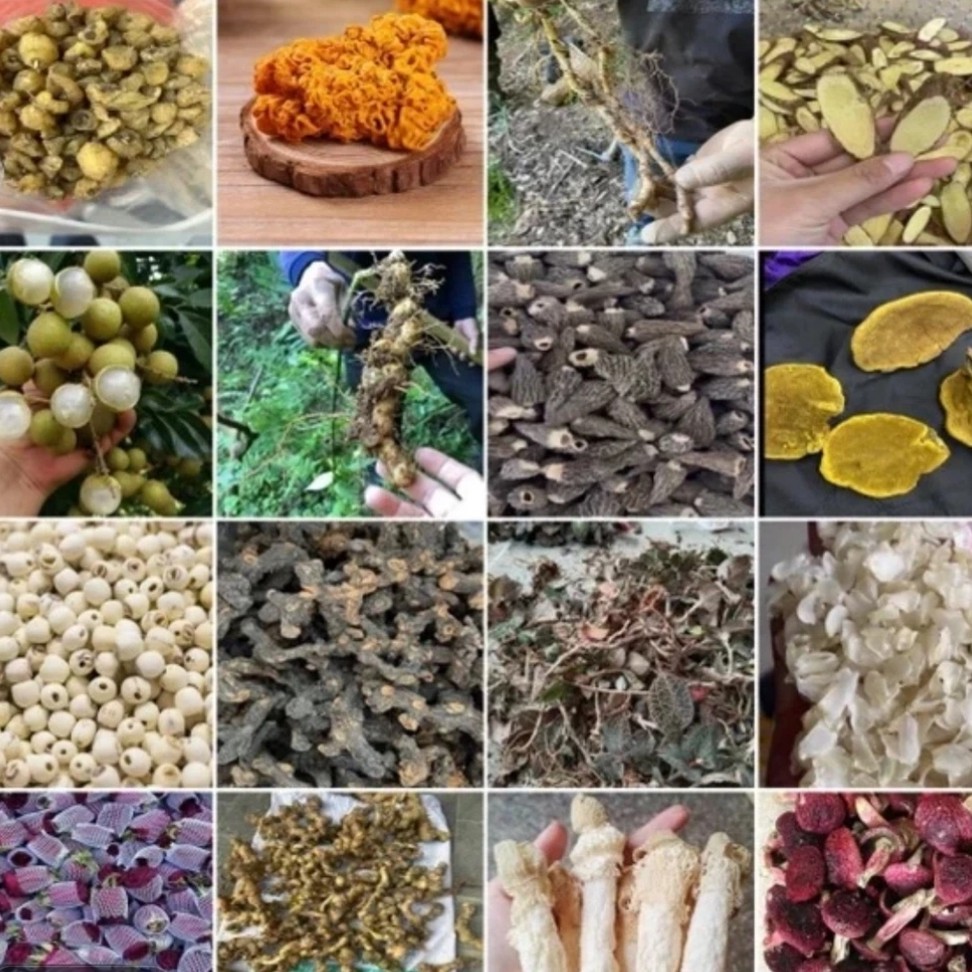 云南香菇土特产临时链接