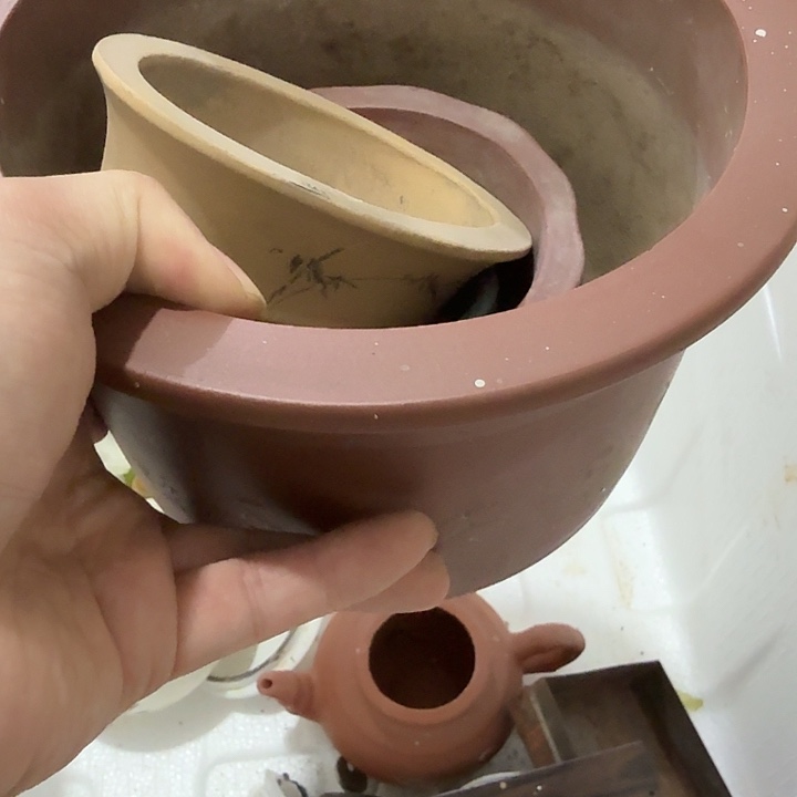 清***居扇子孤云野鹤恍恍惚惚解决斤斤计较