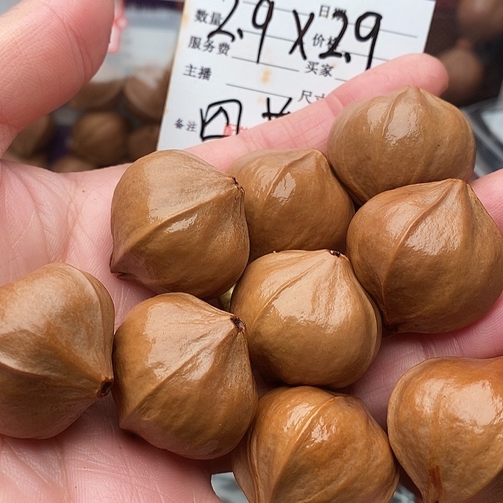 手串/手链橄榄核乐*