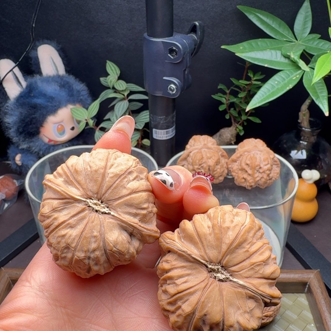 龙脊菩提把件全品南瓜45+