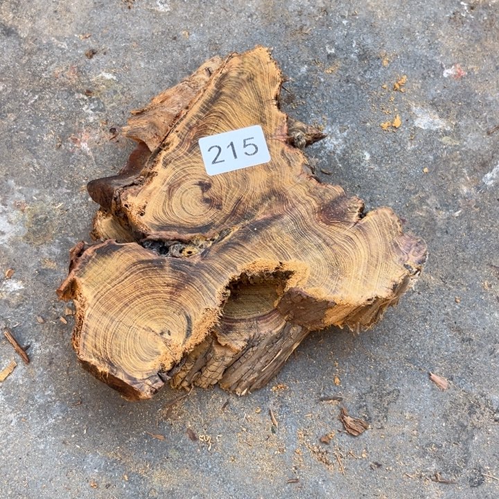 柏木南太行崖柏切片