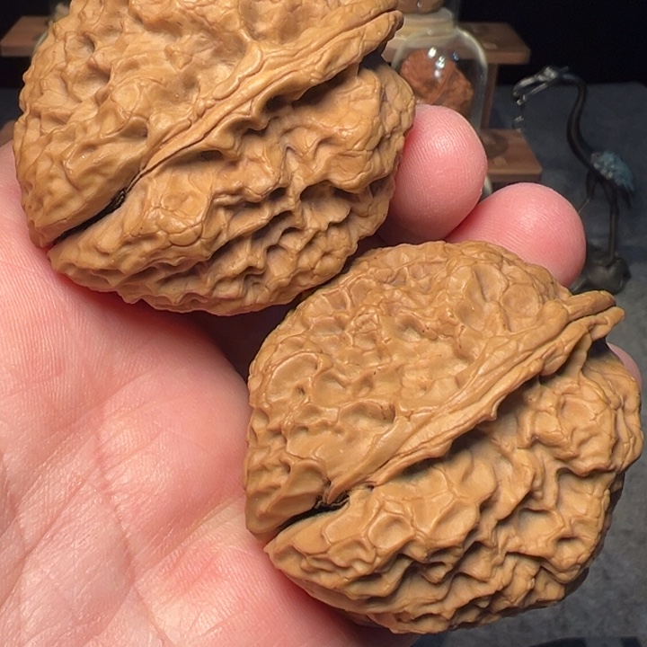 文玩核桃把件霸王滚龙蟾45mm