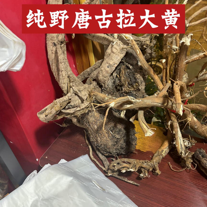 四川阿坝州小金县新桥乡农民自挖纯野唐古拉大黄帮忙切片全干货