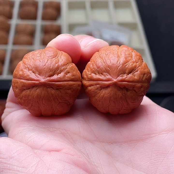 核桃转运珠野生核桃