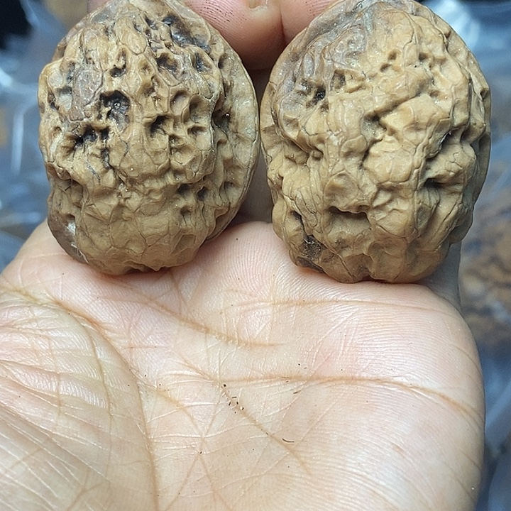 文玩核桃把件云南铁核桃基地90