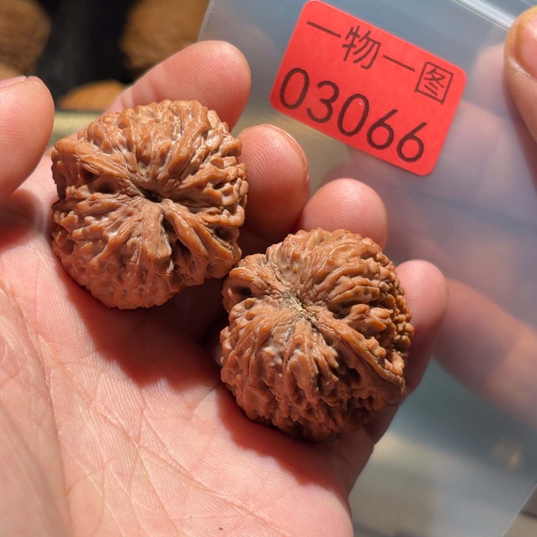把件文玩核桃蒜头
