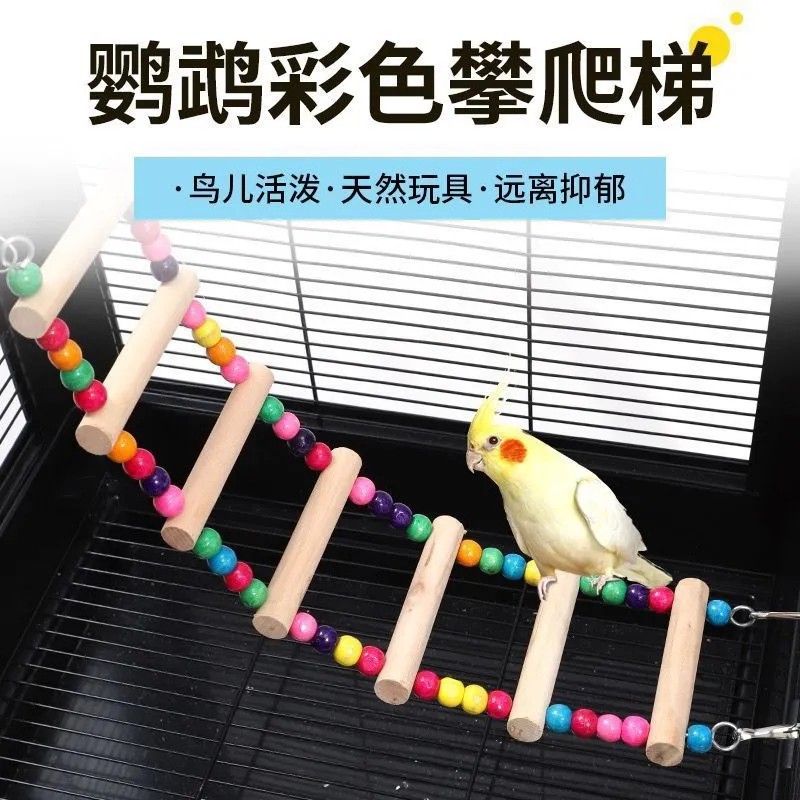 小鸟玩耍云梯爬梯鸟笼配件让鹦鹉攀爬不孤单