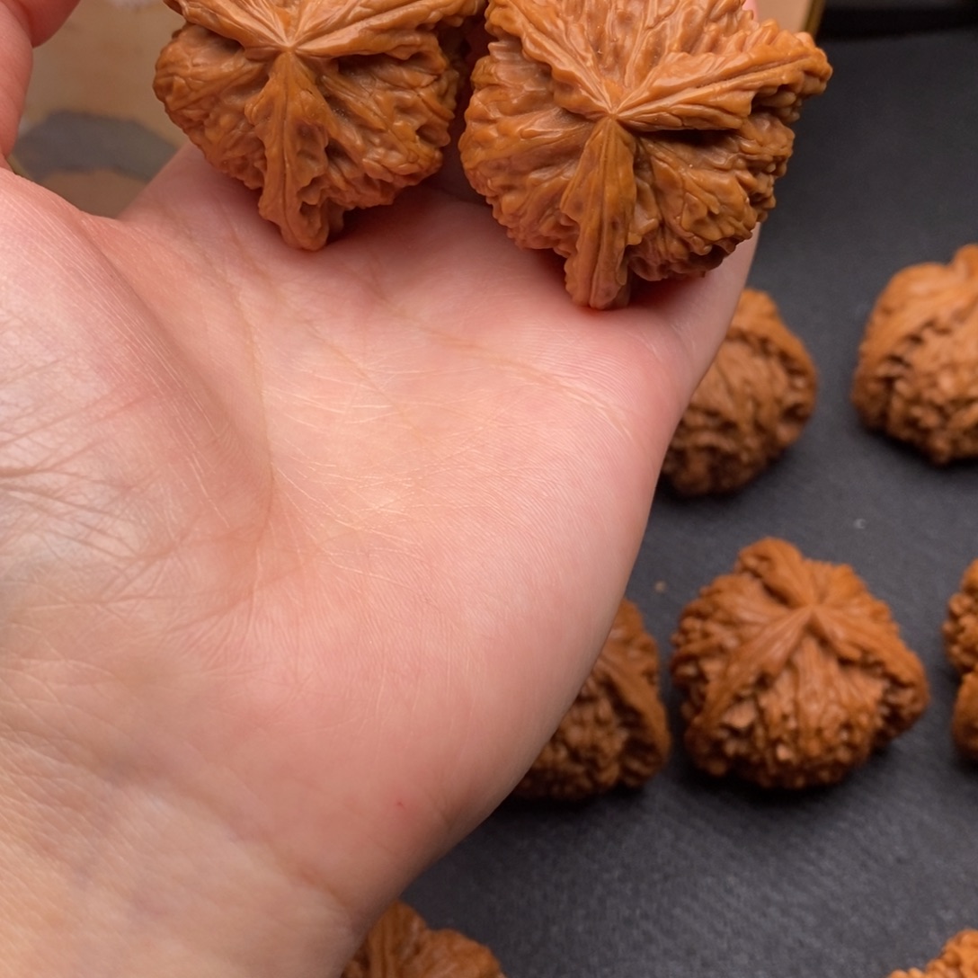 欢***！白狮子111111111