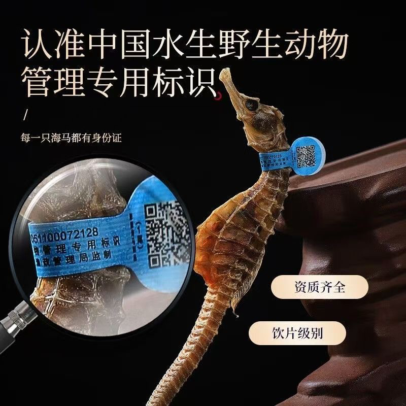 【足6克AAA货】一对公母海马晒干足干海干可煲汤泡酒厚肉新鲜生晒货