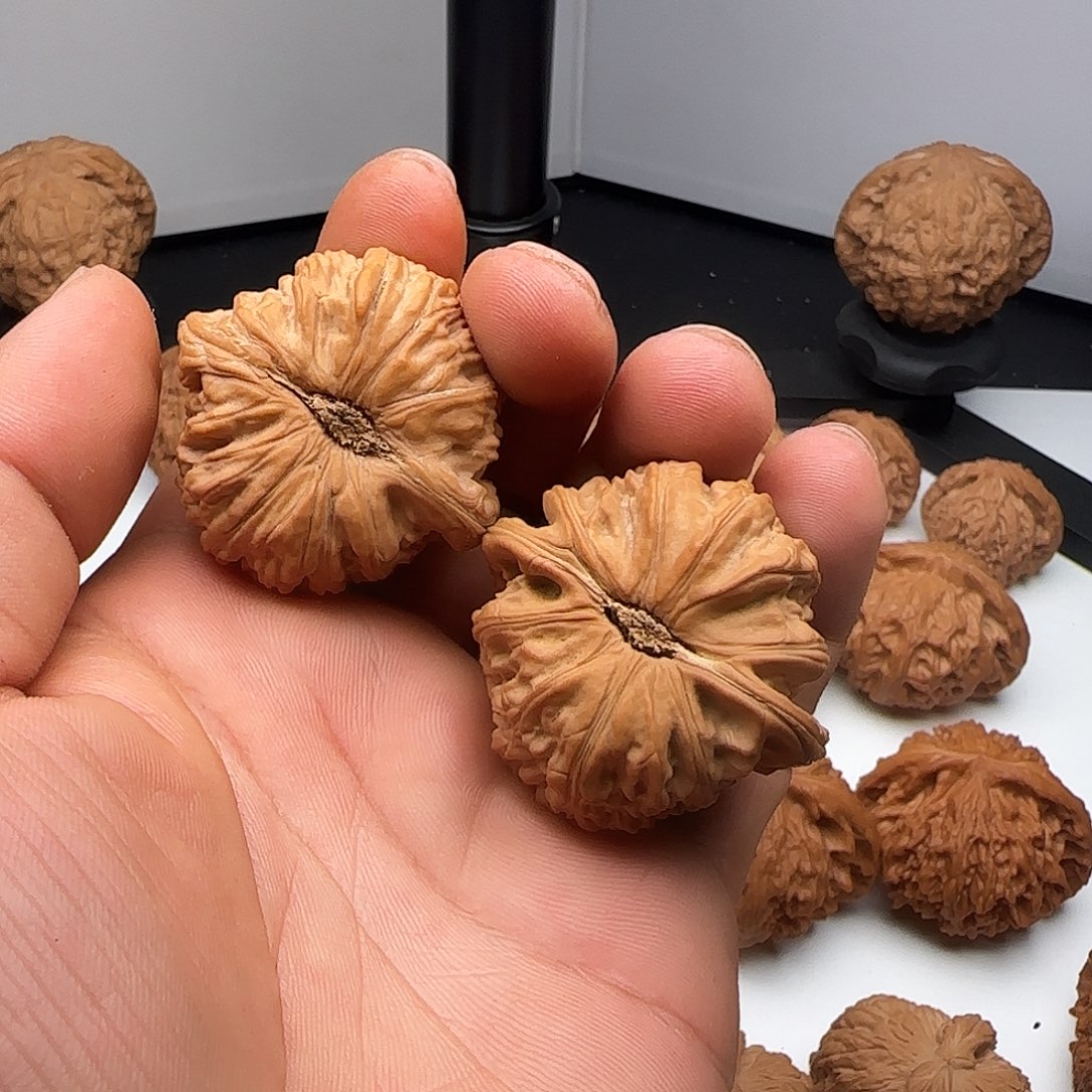 清****文玩核桃吊坠0005白狮子白狮子