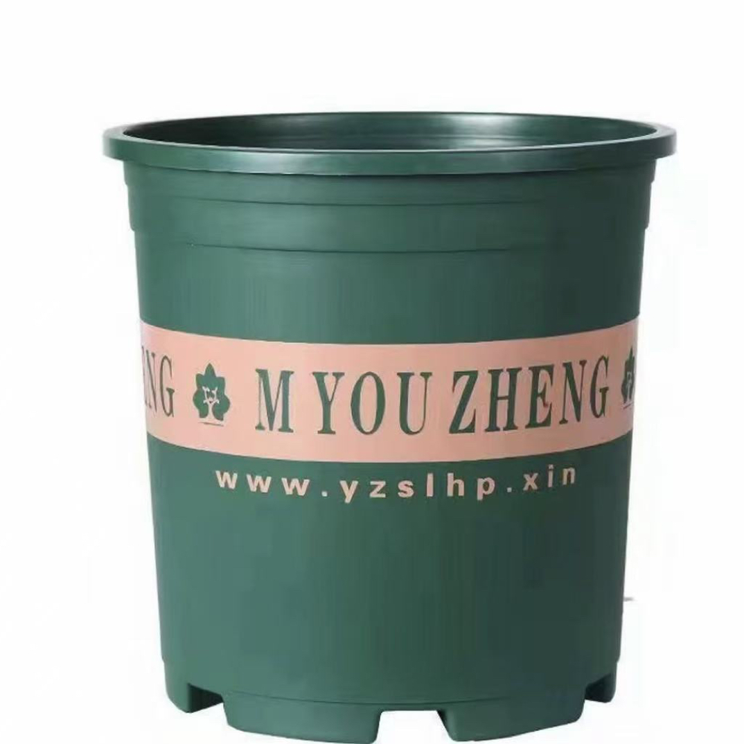 1加仑种月季的花盆塑料耐用清仓美观弗洛伊德玫瑰花向日葵鲜花