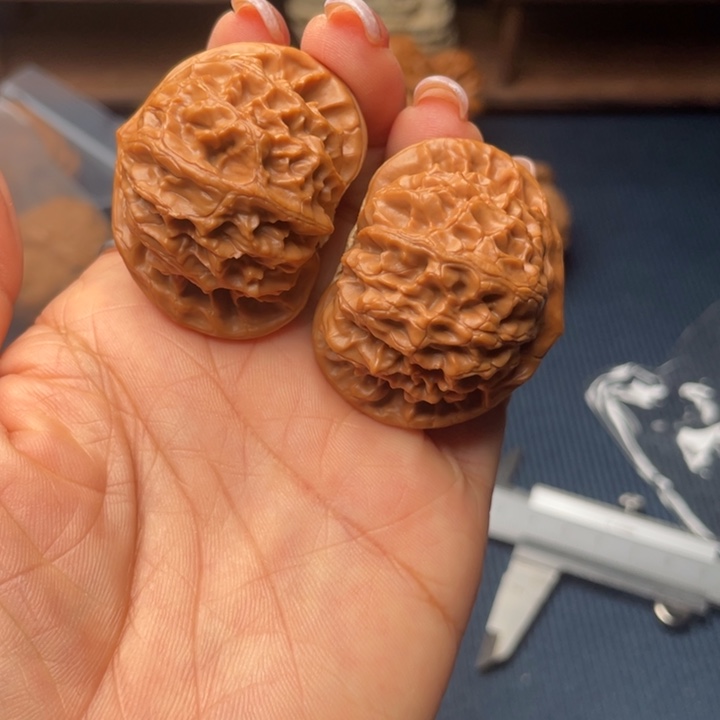 核桃41宫灯888888