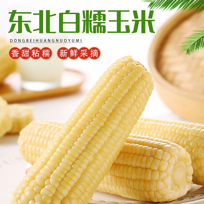 金铝箔白糯玉米东北白糯8大根整箱6斤以上 试吃2根