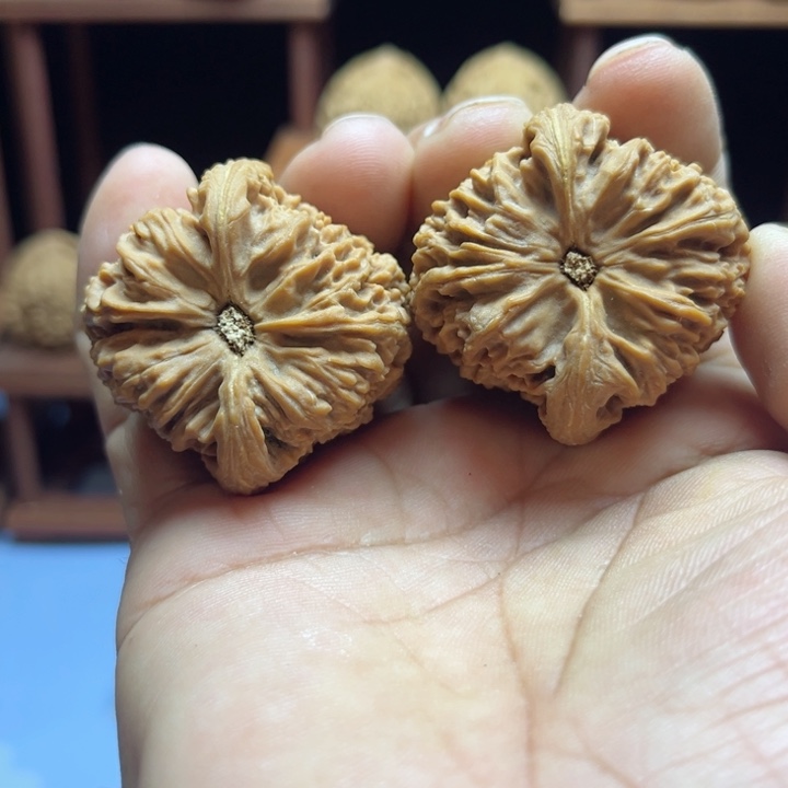 完全开放幽****师南疆石核桃