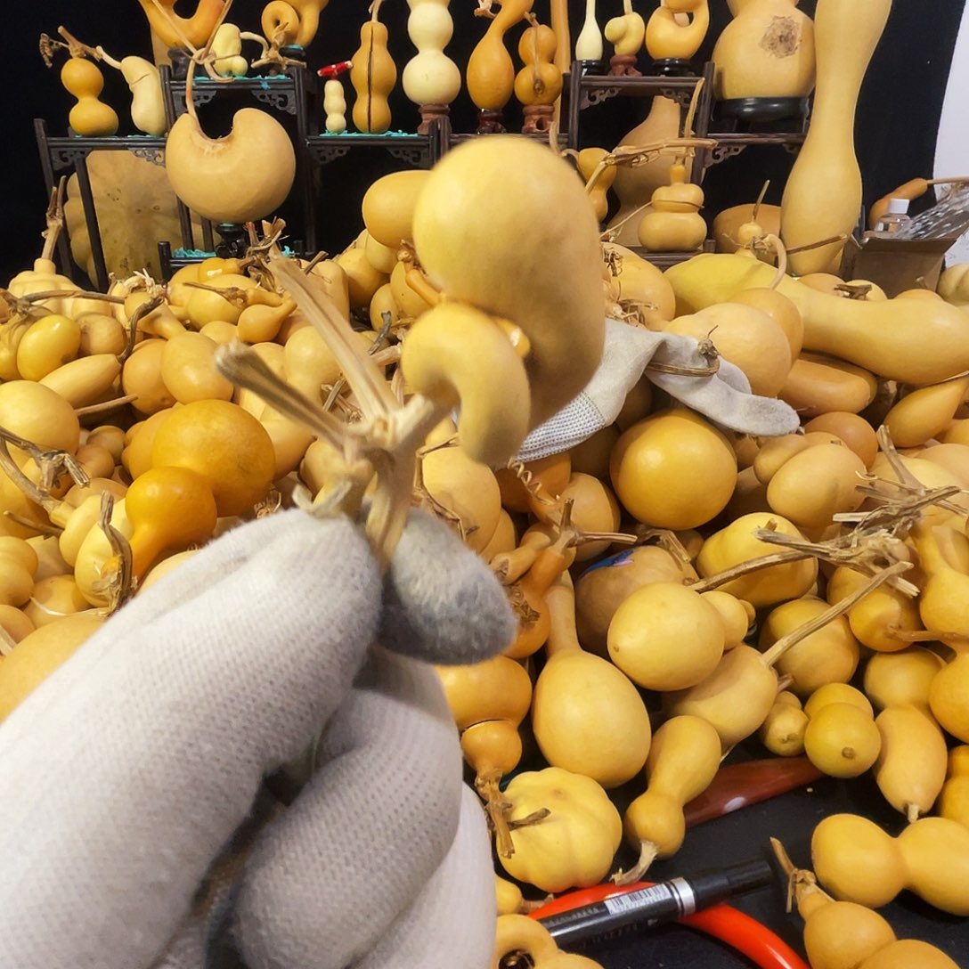 阿***鑫666666666666663333