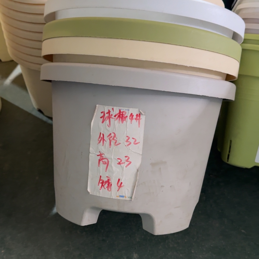 球根4#口径32高23无拖灰白5个