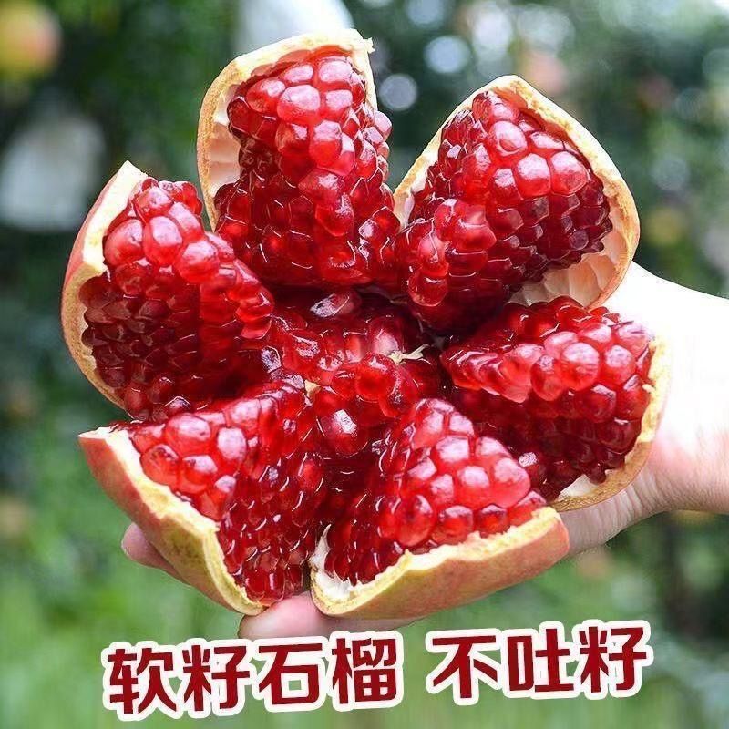 【W专属】四川会理突尼斯软籽石榴新鲜爆汁当季水果大凉山甜石榴
